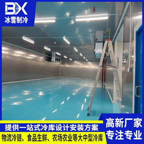冷库设备保鲜冷藏冻库安装防火阻燃食品冷冻库速冻跨境出口医药