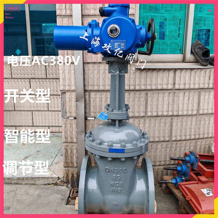 Z941H-10C硬密封零泄露DN250电动闸阀 Z941H/W电动闸阀