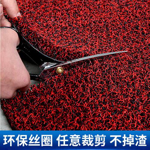 垫丝圈地除耐脏进门尘脚P垫VC酒店迎宾地毯入户客厅JF-091加厚钉
