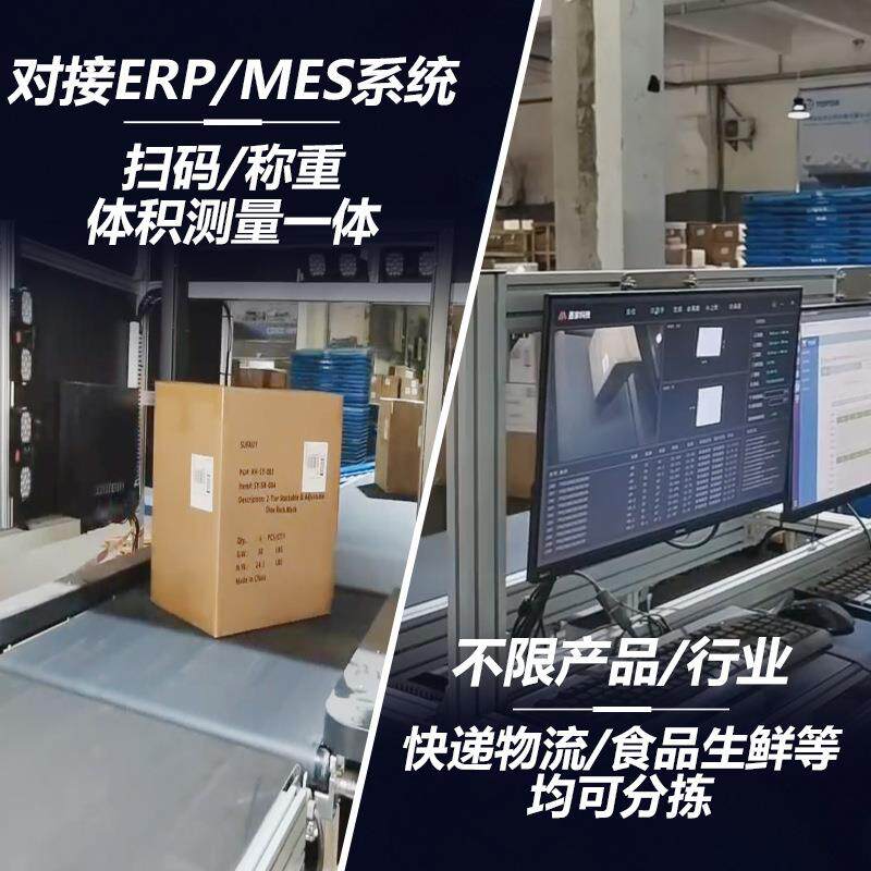 dw重s分拣机动态称拣机读码扫描摆轮分拣IRX台分体积测分量方拣线