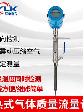 插入式热式气体质量流量计氧气氩气燃煤气压缩管道流量计