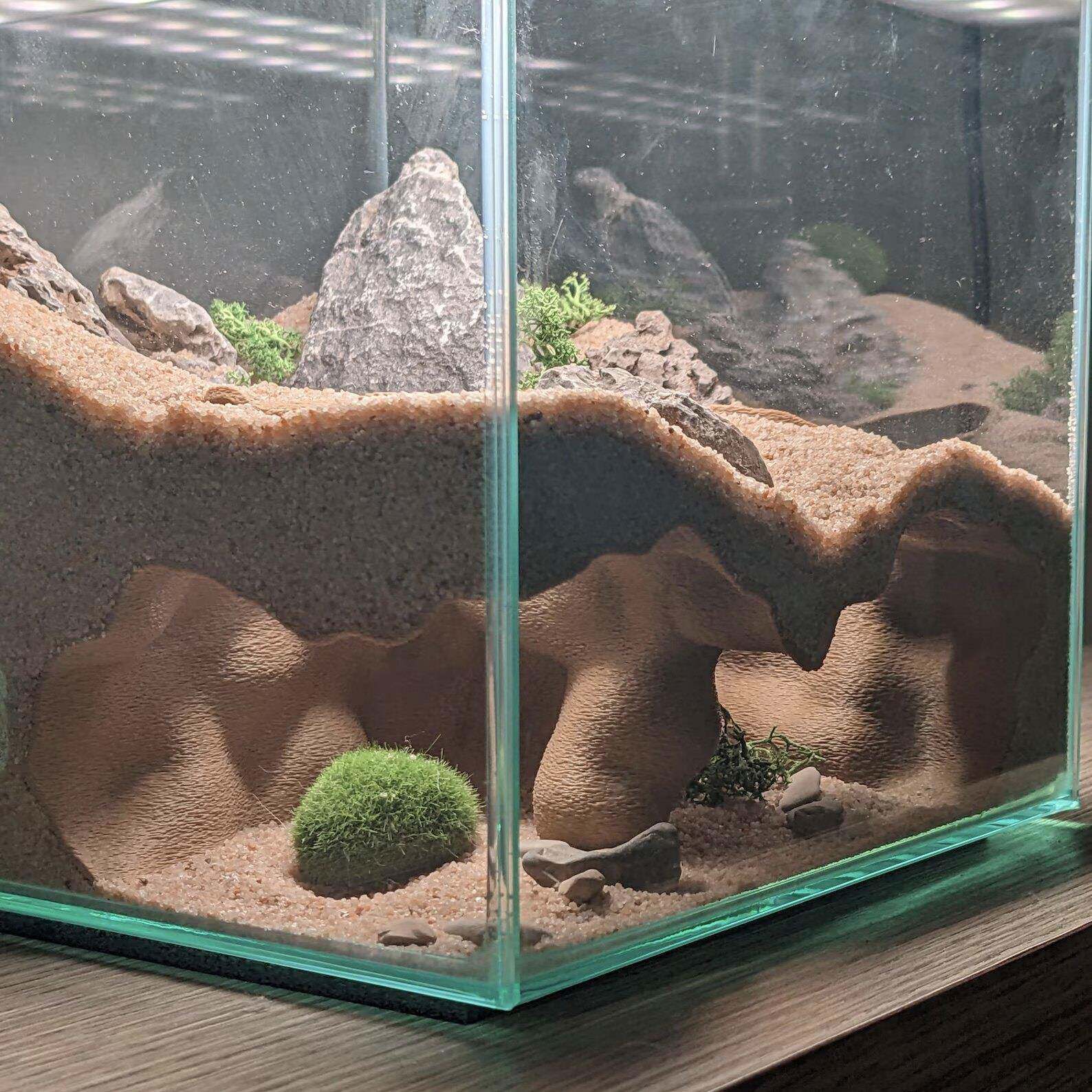 鱼缸造景蜥蜴守宫鬃狮鱼虾躲避屋创意地下洞穴直角双开口造景装饰