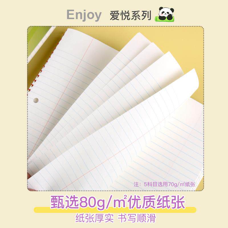 凯萨爱悦系列两孔加厚纸张三科目笔记本线圈本