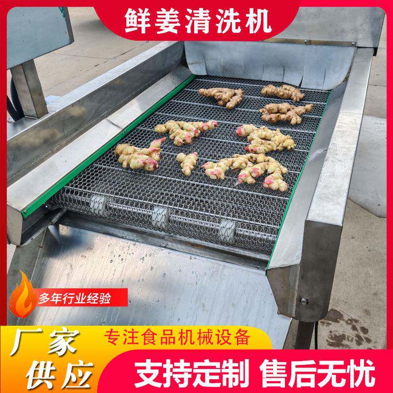 中药材高压喷淋清洗机牛蒡去泥沙高压喷淋清洗机太子参清洗机设备