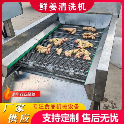中药材高压喷淋清洗机牛蒡去泥沙高压喷淋清洗机太子参清洗机设备