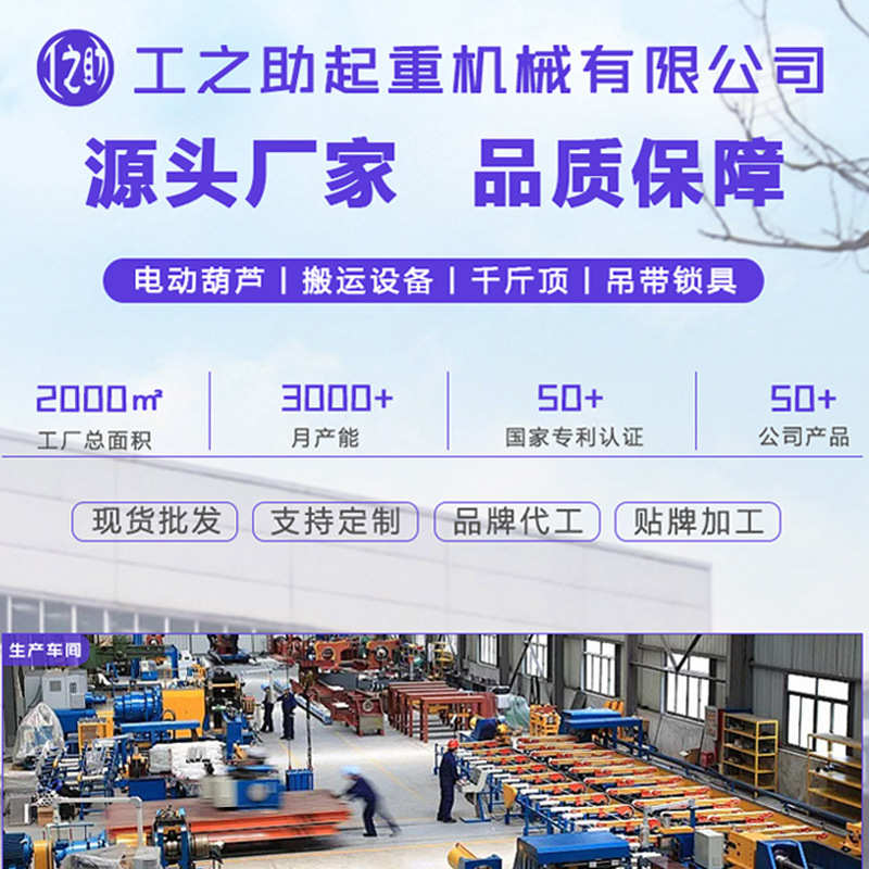 快速式提升机220v吊机悬挂式钢丝绳便携升降机双孔小金刚电动葫芦