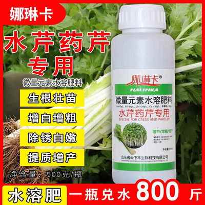 芹菜增白剂芹菜专用叶面肥春芹菜水芹菜芹菜通用增白丰产增直肥