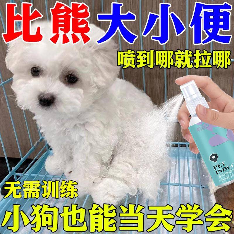 狗狗定点排便诱导剂比熊诱导剂狗大小便比熊训练厕所不乱拉诱导剂