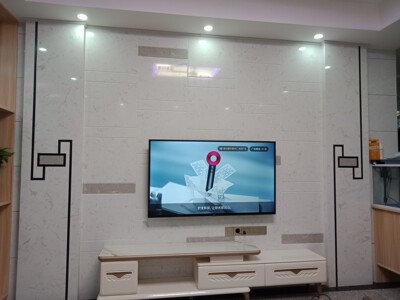 客观分析电视TCL55v2和海信55E52D哪个好，差别大不大？