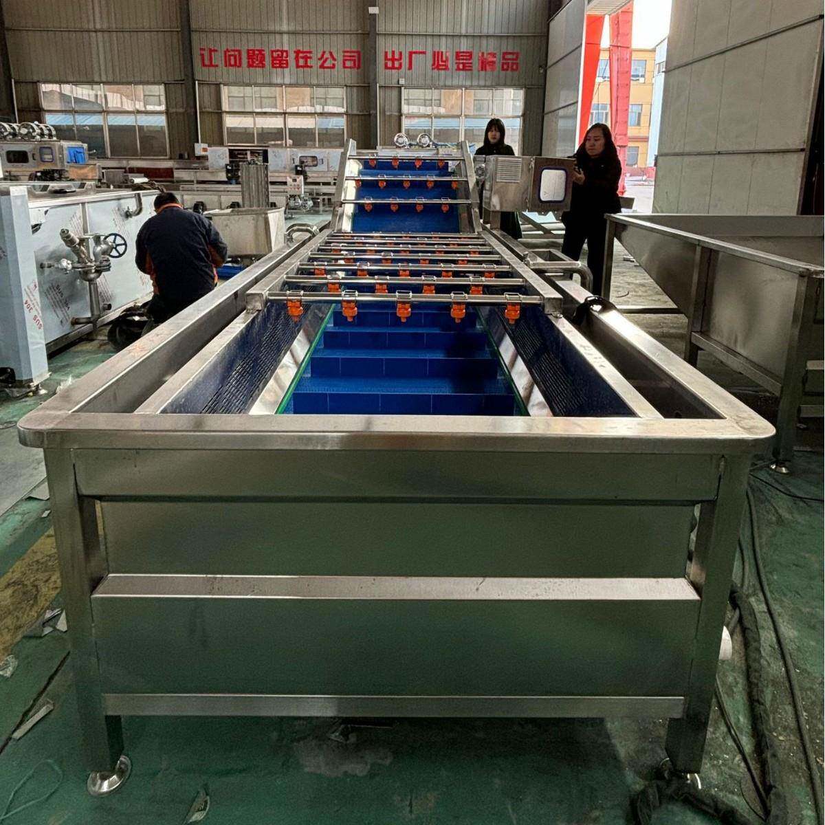 青菜去泥清洗机上海青蔬菜清洗机臭氧除菌气泡水浴清洗机
