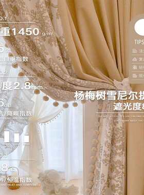 杨梅树雪尼尔提花拼奶茶羊绒法式复古客厅卧室阳台飘窗窗户帘窗帘