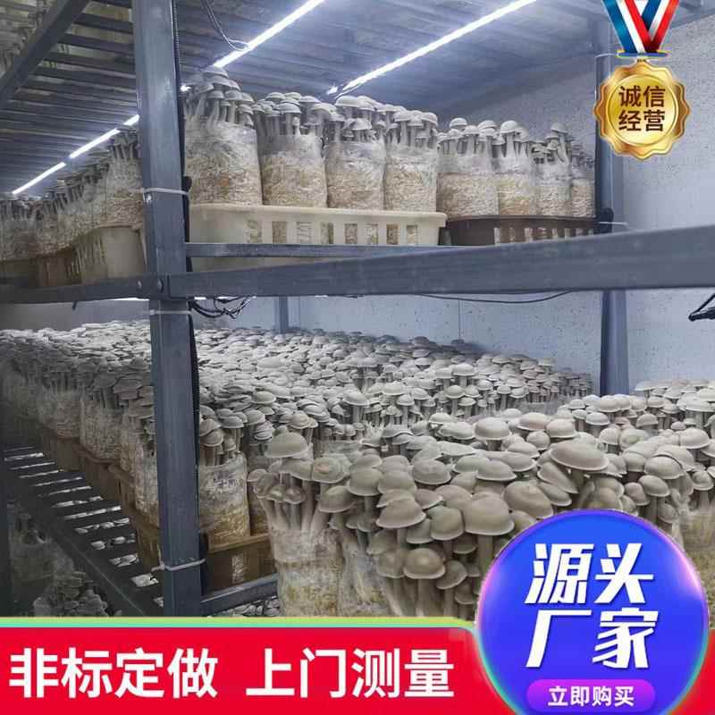 仓库热镀锌货架大棚蘑菇培菌房多层菌菇种植架冷库储物多层货架
