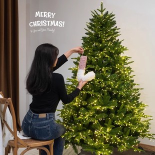 饰品diy手工仿真加密带灯小套餐圣诞节布置摆件 圣诞树家用大型装