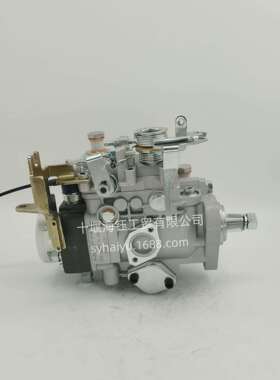 104645-4124柴油机燃油喷射泵VE4/10F1200RNP1116