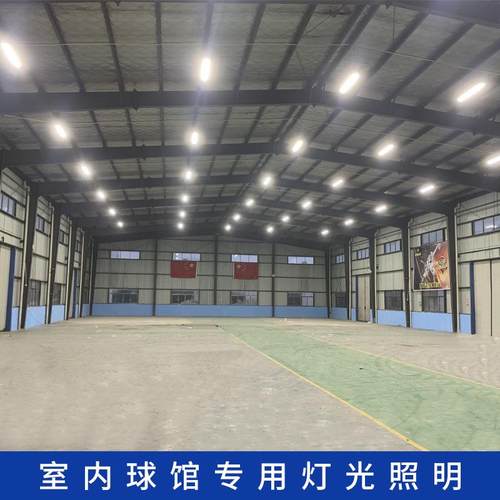 新款LED蜂窝灯室内运动场体育馆灯具150w球场照明灯室内球场灯光