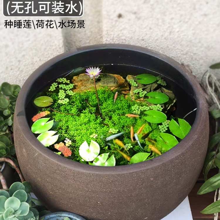特大口径黑陶紫砂粗陶花盆户外无釉素烧陶瓷陶罐阳台鱼缸养鱼种树