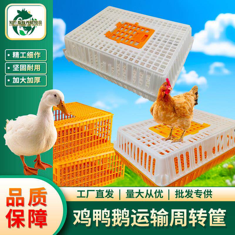 鸡笼周转箱 鸡笼子运输养殖塑料家用大号特大筐 成鸡鸭鹅鸽子兔笼
