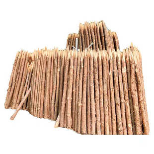 防汛木桩杉木桩 河道打桩松木桩建筑河道坡工程防洪杉木桩