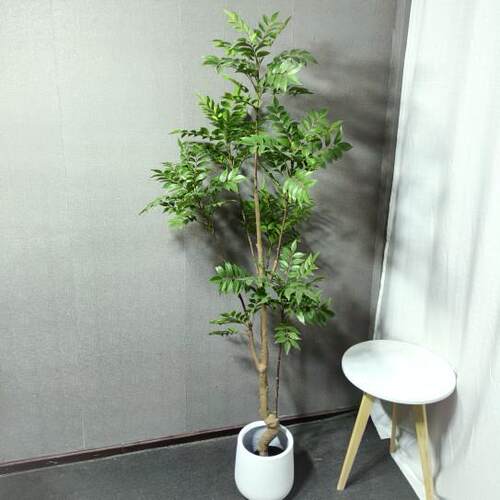 绿植漆木树室内客厅装饰摆件盆栽仿生植物直播间造景假树仿真花
