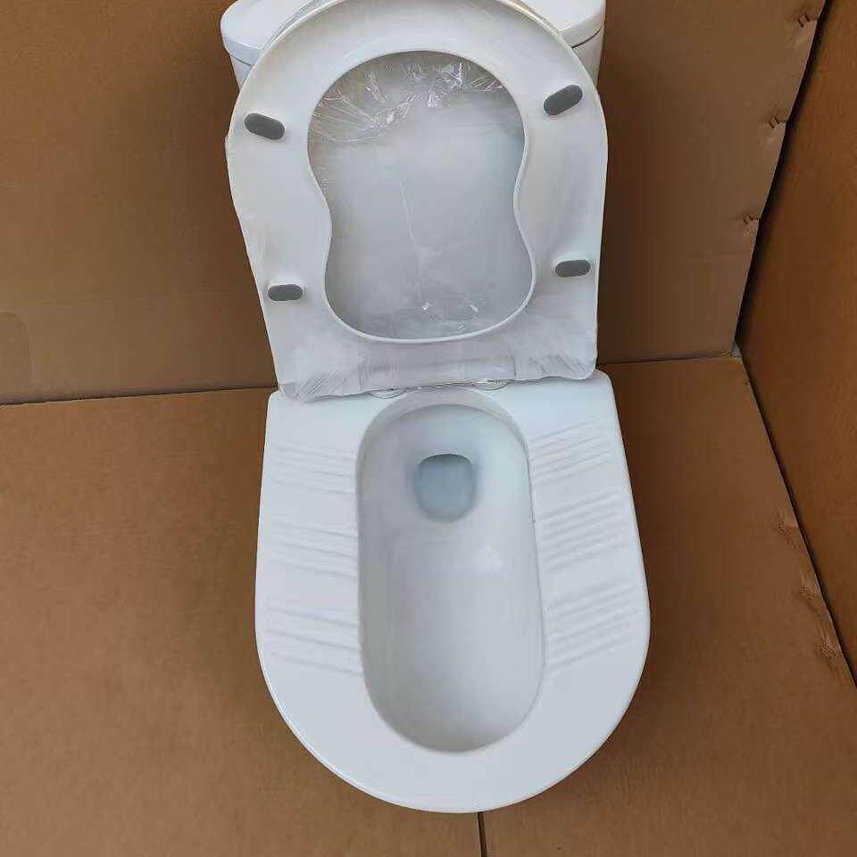 28高蹲坐两用虹吸式坐便器