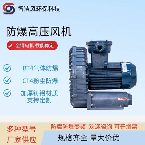 4KW防爆旋涡鼓风机FB-5防爆耐高温高压漩涡气泵电机防爆证书