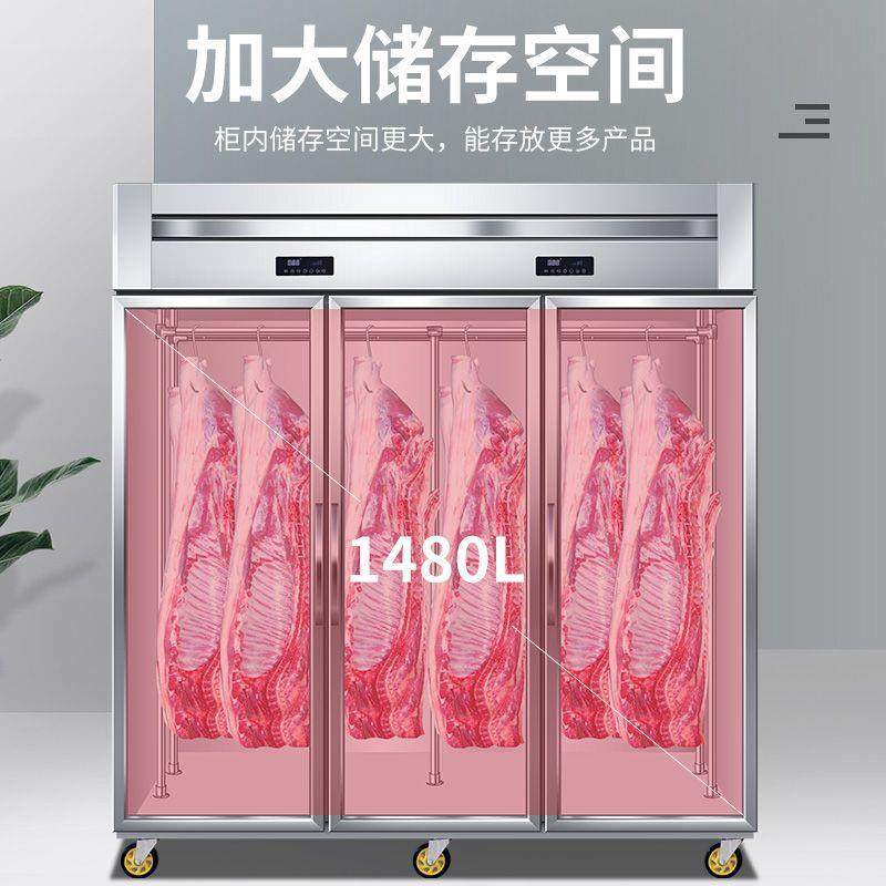 白雪乐冷冷藏保鲜冰XWQ柜吊肉柜挂冰柜柜挂肉柜商冻稚用立冷式牛