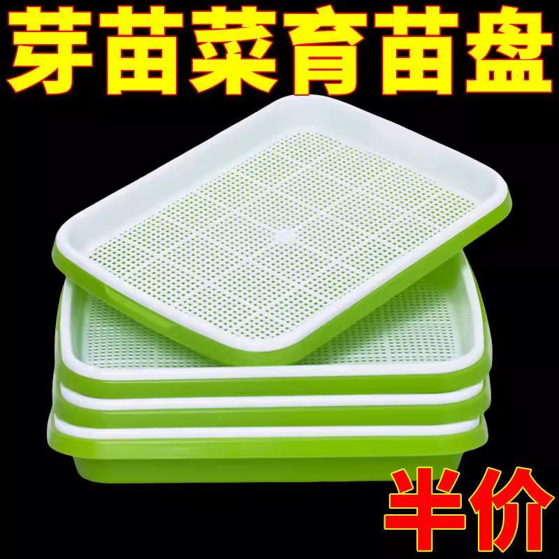 芽苗菜加厚加大育苗种菜水培蔬菜豌豆苗豆芽盘无土室内种植家用丨