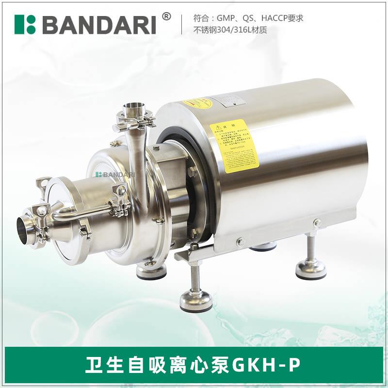 304卫生级不锈钢直流离心泵高压全自动高扬程管道增压离心自吸泵