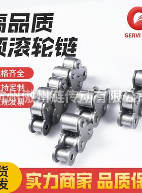 双节距顶置滚轮输送链带顶滚16A-1-TR16A-2-TR12A-2-TR12A-1-TR