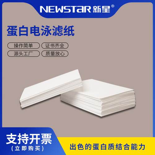Newstar新星WB/转印滤纸蛋白电泳免疫滤纸7.5*10cm100张/包白色