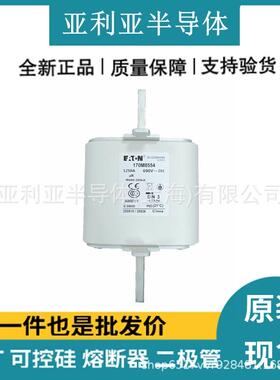 快速熔断器 170M8632电子元器件数量充足保险丝全
