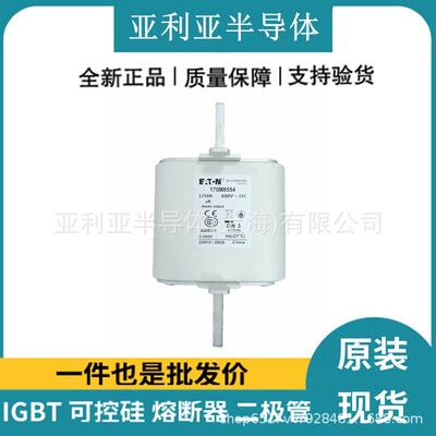 快速熔断器170M8632电子元器件数量充足保险丝全