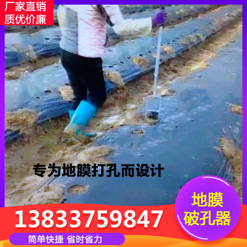 地膜新款打孔器西瓜大棚打洞器蔬菜种植移苗打穴器破膜器隆达农业