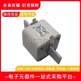 3761 3766快速熔断器 170M3758 3760 3764 3765 3763 3759 3762