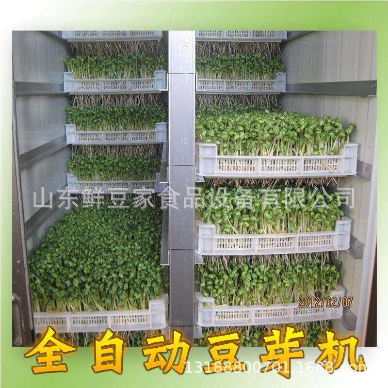 供应吉林豆芽机大型小型商用豆芽机 全自动豆芽机械 生豆芽机厂家