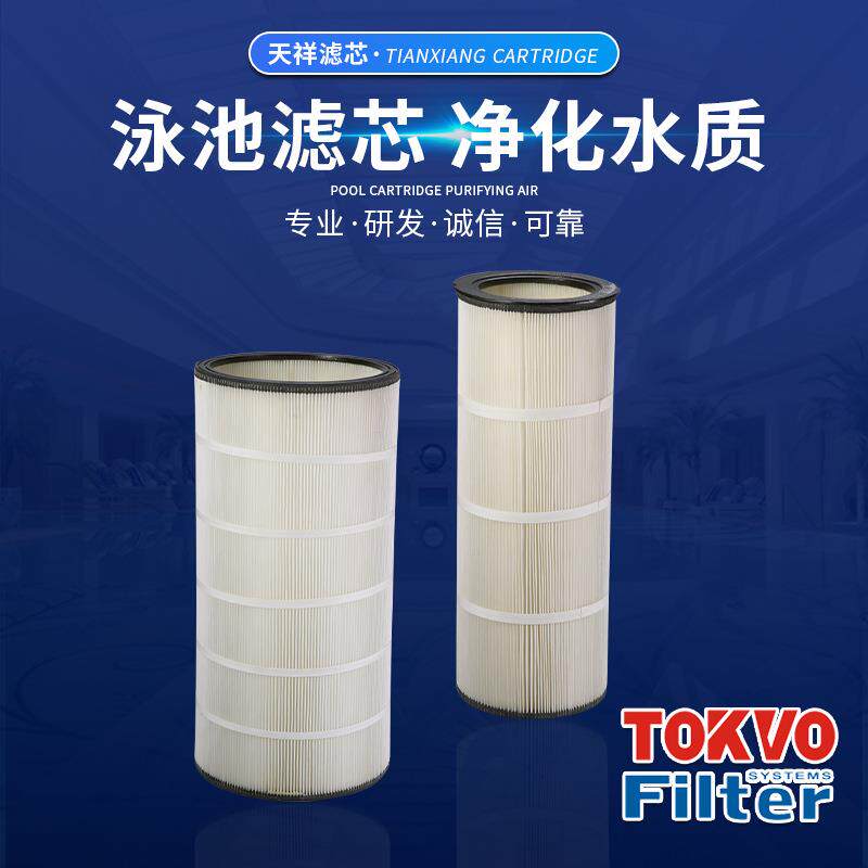 泳池过滤器折叠滤芯泳池过滤芯小型游泳池滤芯TF-29605-250滤芯