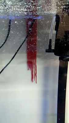 使用解读聚宝源鱼缸怎么样，小编深度剖析评测？