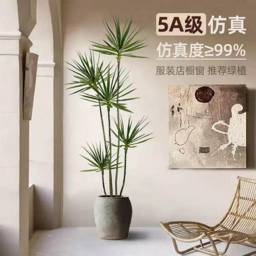 千年木仿真绿植龙血树室内大型高端轻奢落地装饰摆
