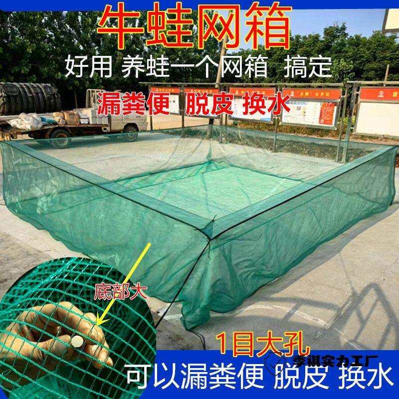 加厚1目网箱可以漏粪便脱皮底部大孔牛蛙防逃网箱