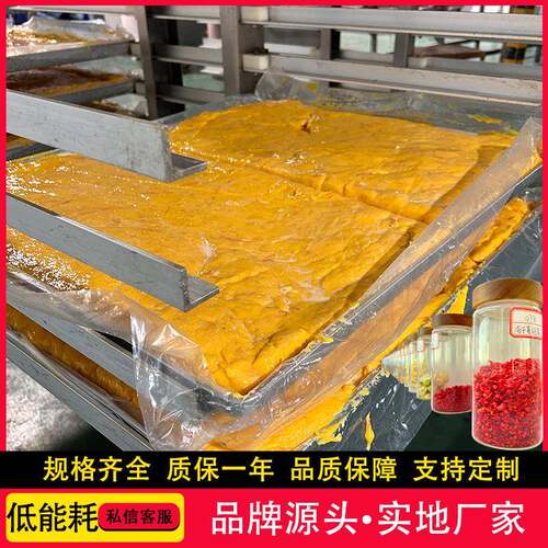 新疆建设驻地冻干机 可试样真空干燥机械 圆筒食品级果蔬冻干设备