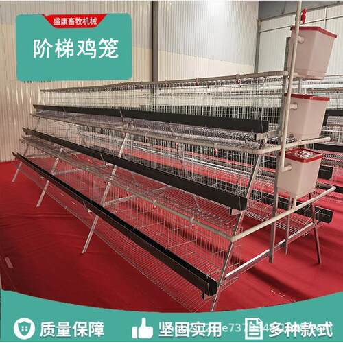 阶梯蛋鸡笼镀锌铁丝养殖场大号双边三层5叠式家禽养鸡蛋鸡笼