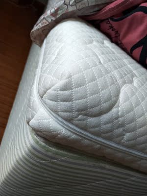 派兰乳胶环保棕天然全棕榈椰棕垫怎么样？是哪里牌子？有何缺点？