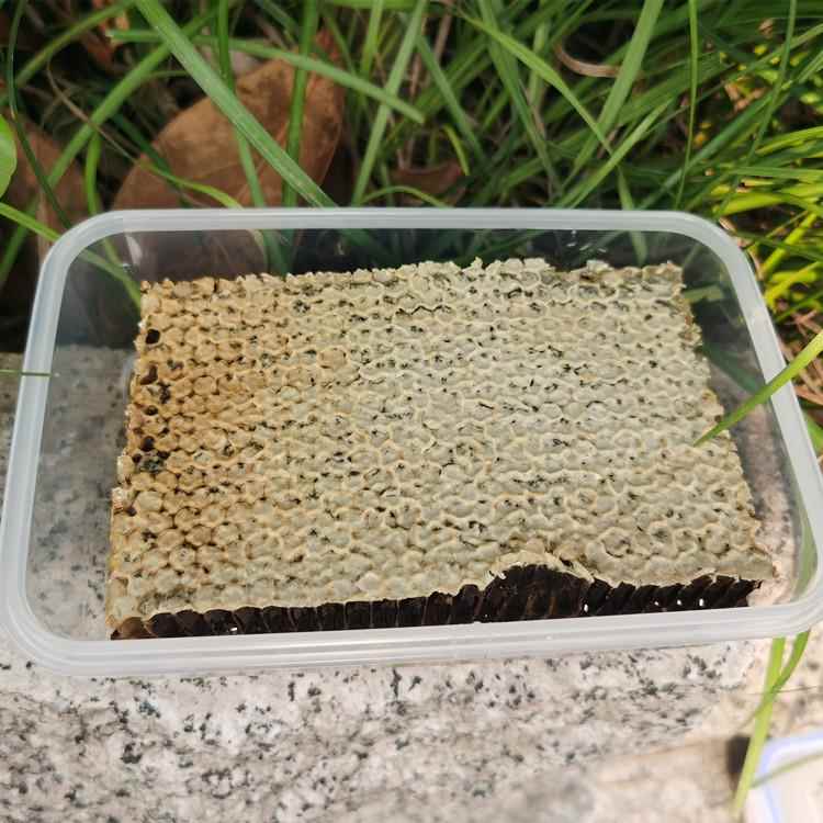 老巢蜜 百花蜜盒装500荆条蜂蜜 农家蜂场直供土蜂蜜