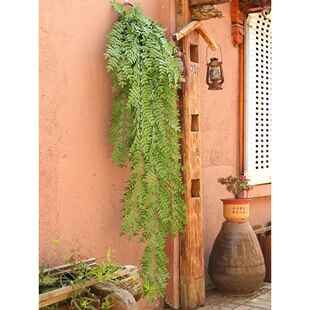 植物叶子绿户外假藤条藤蔓墙壁绿花植萝阳台F775S8MH面遮挡墙装饰