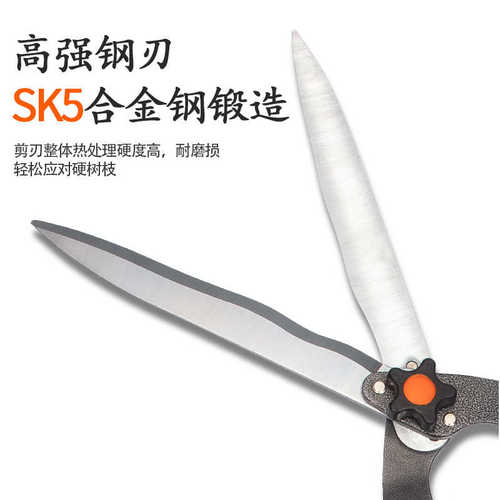果树 剪刀修枝园艺 树枝大修剪草坪篱笆剪刀 用剪剪园林花剪