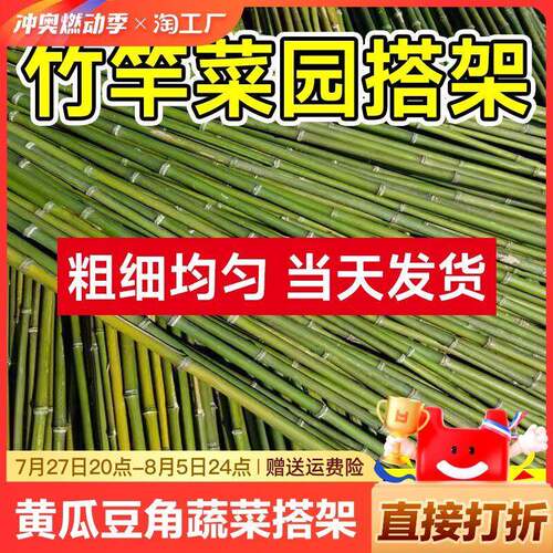竹竿菜园搭架黄瓜蔬菜豆角架条爬藤架篱笆栅栏2米长细竹子杆