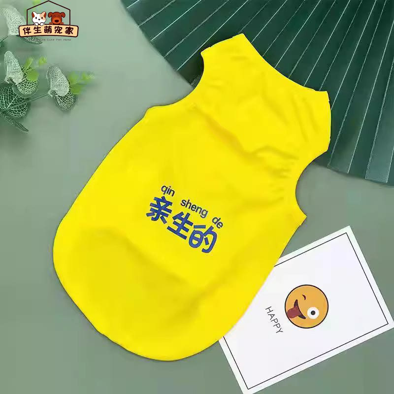 小狗狗衣服小型犬搞笑猫咪比熊法斗博美小型犬夏天夏季背心薄款