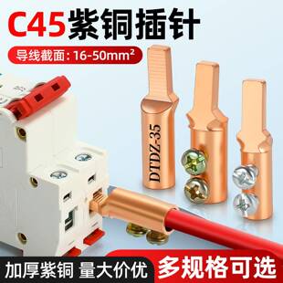 国标紫铜DTDZ免压插针电表鸭嘴断路器线鼻子C45铜线接线端子平方