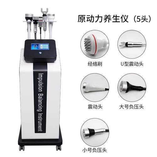 正品动力养原生仪美容院吸拔罐肩颈调理通养生馆推痧背开疏背按摩