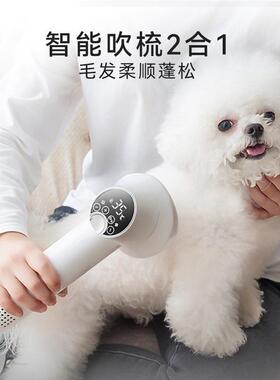 智能款手持吹梳一体机宠物吹风梳子二合一猫咪狗狗梳毛吹毛用品